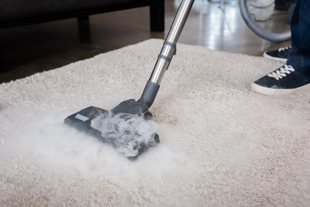 nettoyage d'un tapis avec un nettoyeur à vapeur